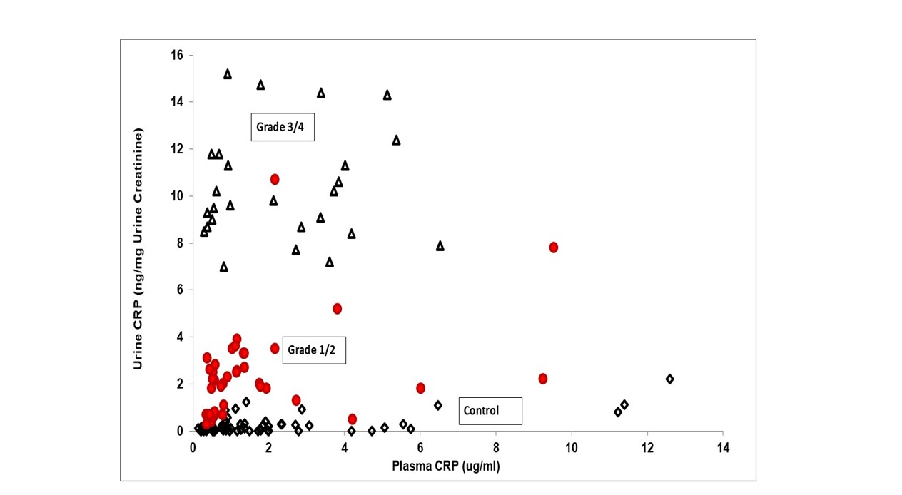 Figure 4. Relationship between CRP in urine and plasma